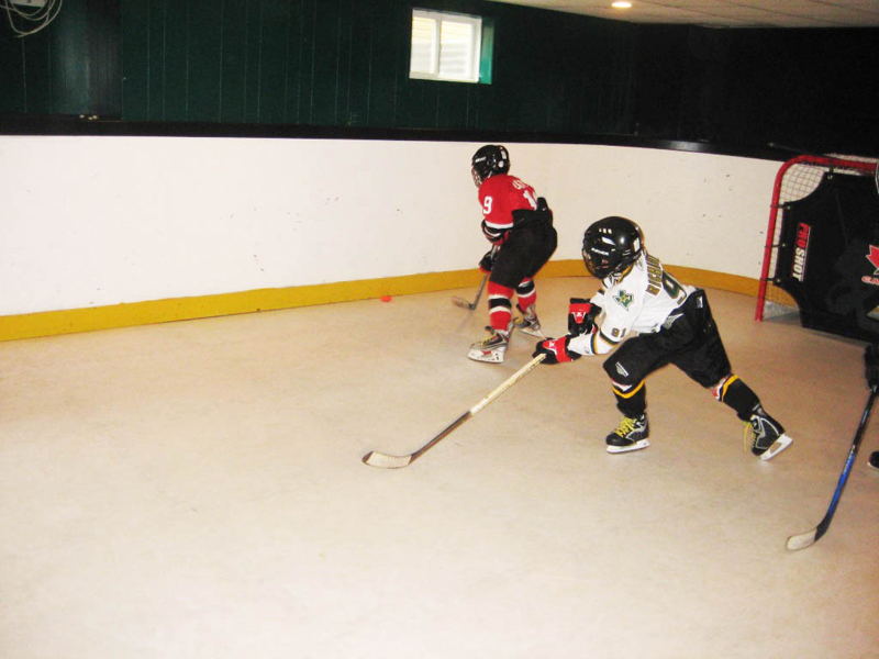 synthetic ice rink